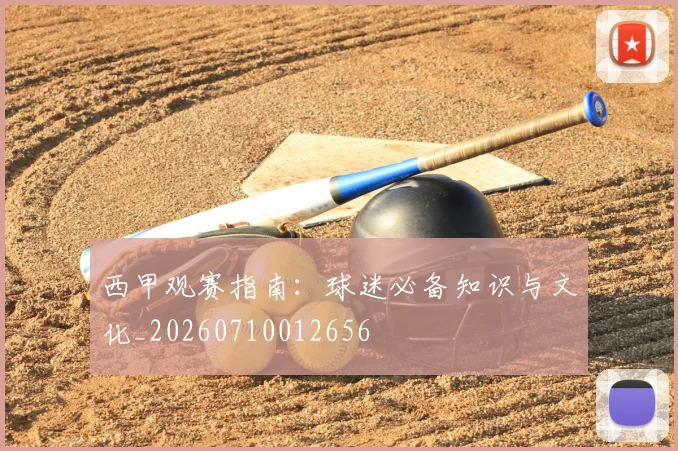 西甲观赛指南：球迷必备知识与文化_20260710012656
