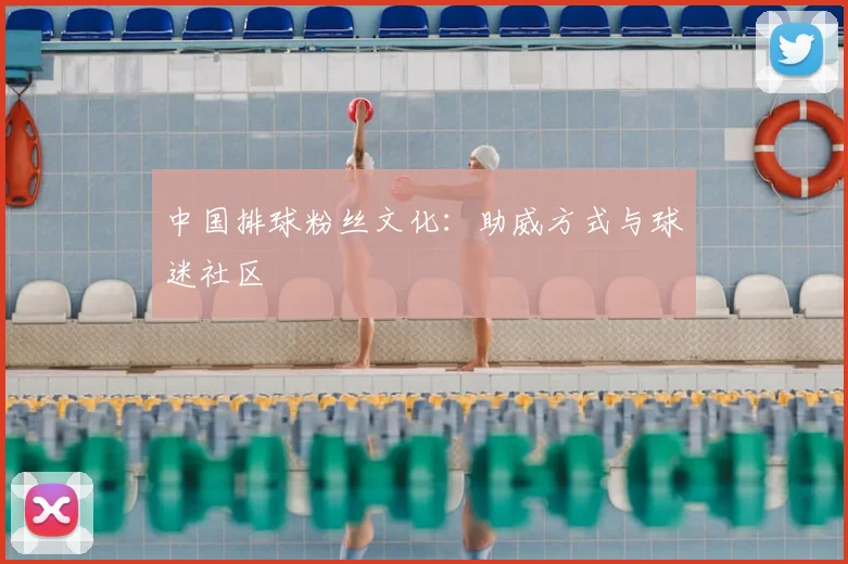 中国排球粉丝文化：助威方式与球迷社区