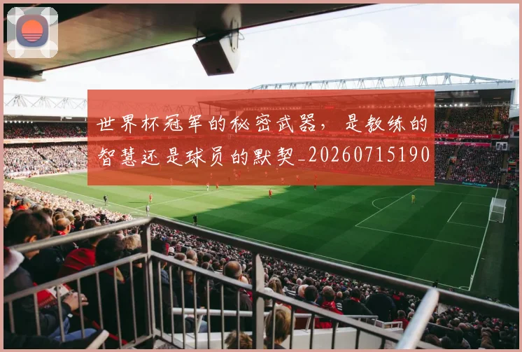 世界杯冠军的秘密武器,是教练的智慧还是球员的默契_20260715190349